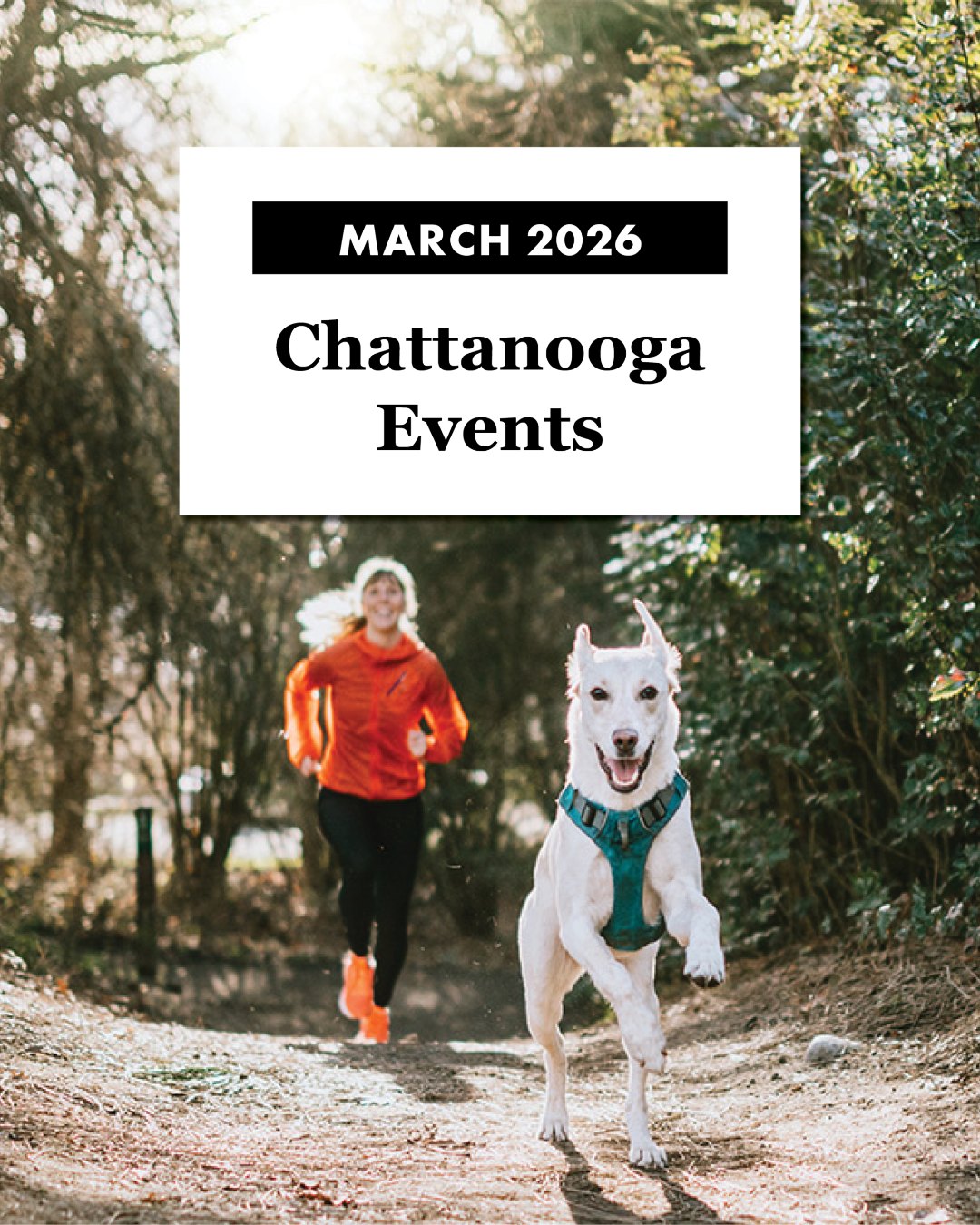 Looking for fun events in Chattanooga next month? We’ve got you covered! Here are just a few of the events you can attend in March:

🍀 Mystical March Market
📍 Chattanooga Choo Choo
📅 March 7-8

🍽️ Food Truck & Craft Beer Festival
📍 Coolidge Park
📅 March 21-22

👟 Erlanger Chattanooga Marathon
📍 First Horizon Pavilion
📅 March 27-29

Head to our website at the link in our bio for our full list of events and celebrations happening in March!