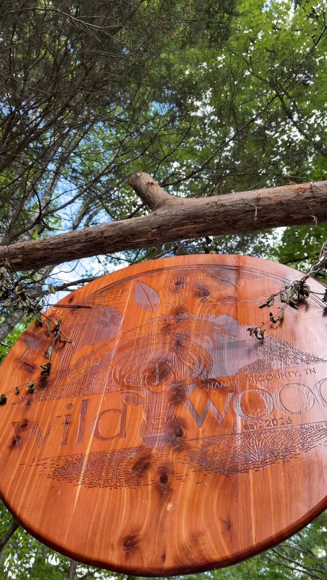 Chattanooga's newest playground is a dream come true! 🌲✨ Check out Wildwood Playscape through the eyes of our resident graphic designer and mom of 3, @tamaraslocum. She gives her honest review of this stunning 3-acre play area in Enterprise South Nature Park! 

#chattanoogakids #choosechattanooga #familytime #kidsjustwannahavefun #chattanooganature