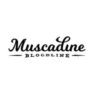 Muscadine Bloodline Logo