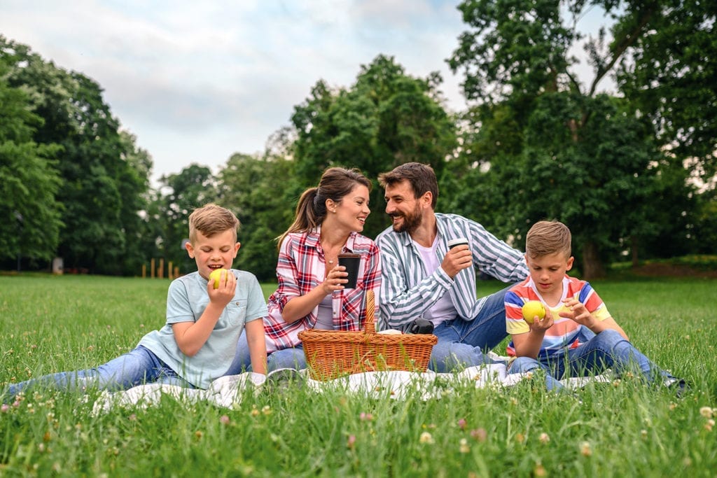 family enjoying a picnic at the park