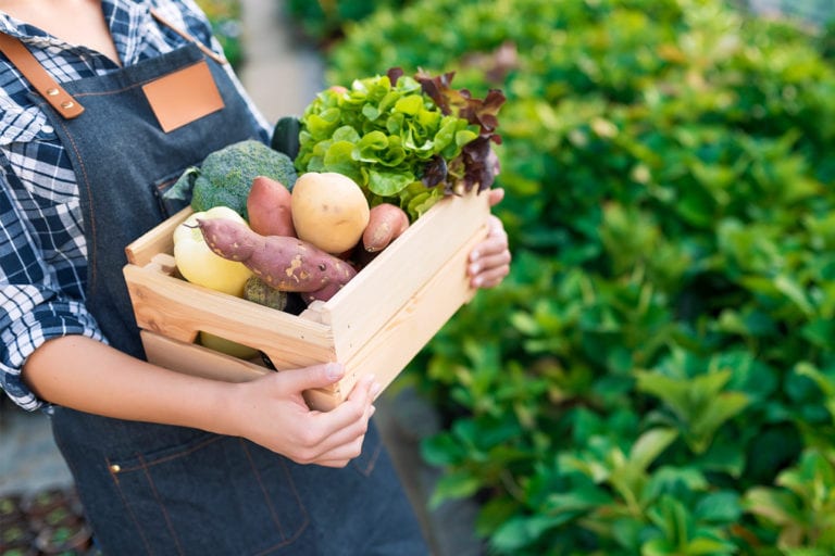 woman carrying a wooden box of produce at a farmers market