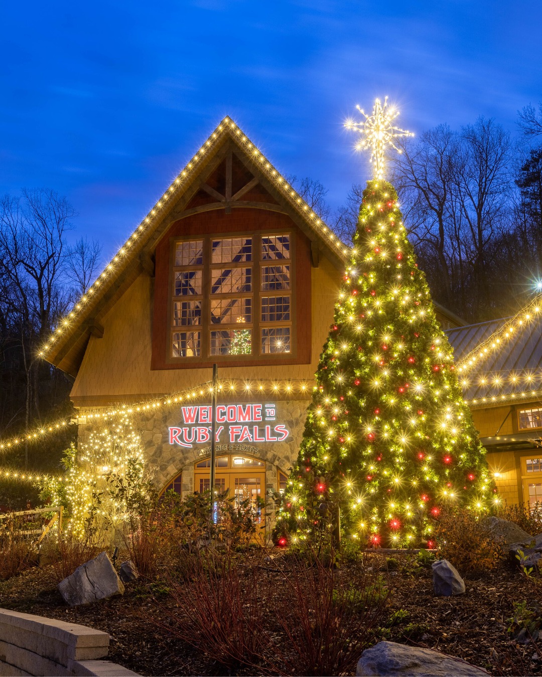 For the month of December, Ruby Falls transforms into a winter wonderland, brimming with holiday magic. 🪄 Along with a guide-led walk of the cave, families can enjoy magical views, festive decorations, and special activities inside historic Ruby Falls Castle.

📍@rubyfallscave