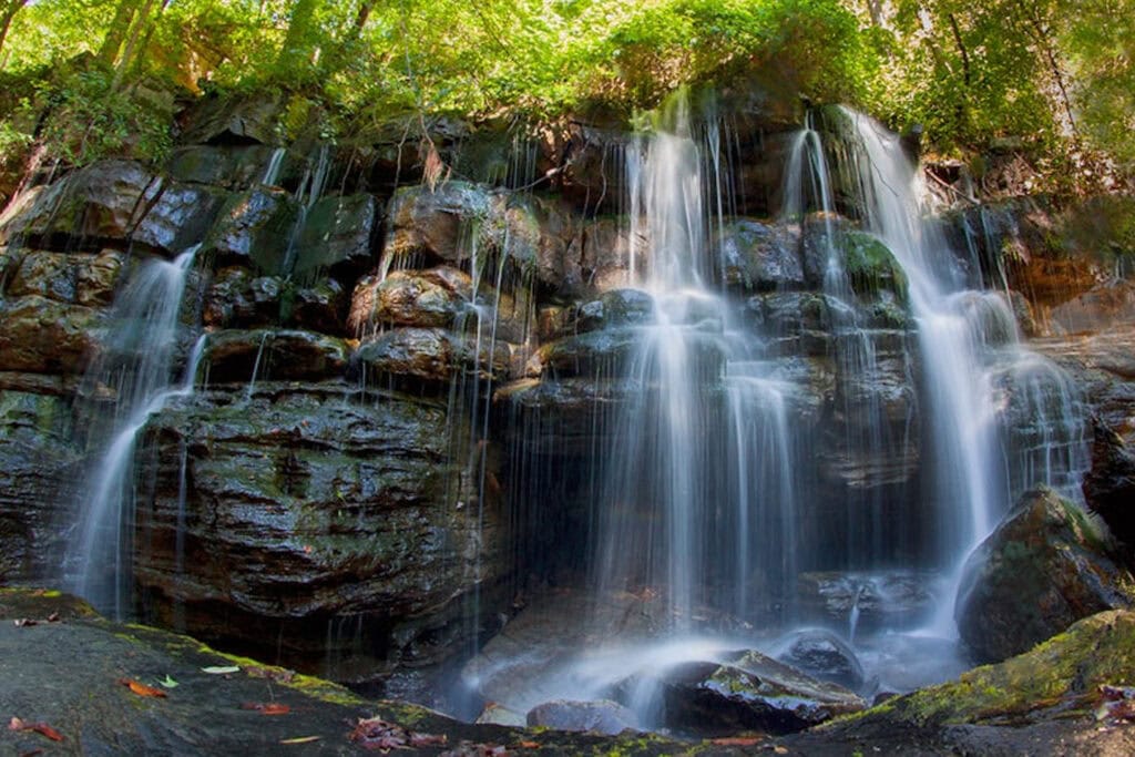 A serene waterfall cascading over rocky terrain, surrounded by lush greenery and soft sunlight filtering through the trees.