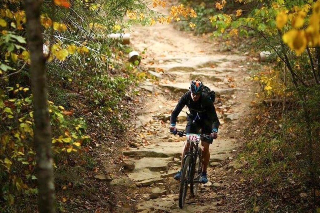 Biker on the trail in the 5-Points-50 Race