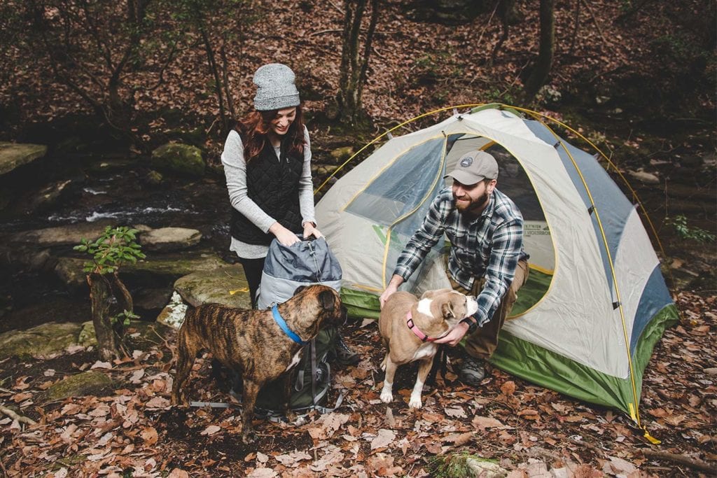 couple camping with their dogs; photo by Rich Smith