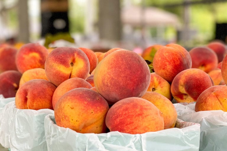Three smiling women holding drinks, enjoying a lively atmosphere at an event, with a crowd in the background.