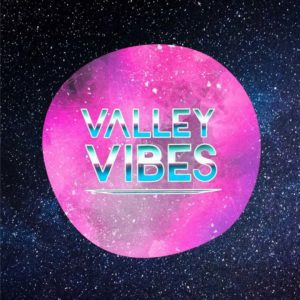 Valley Vibes Logo