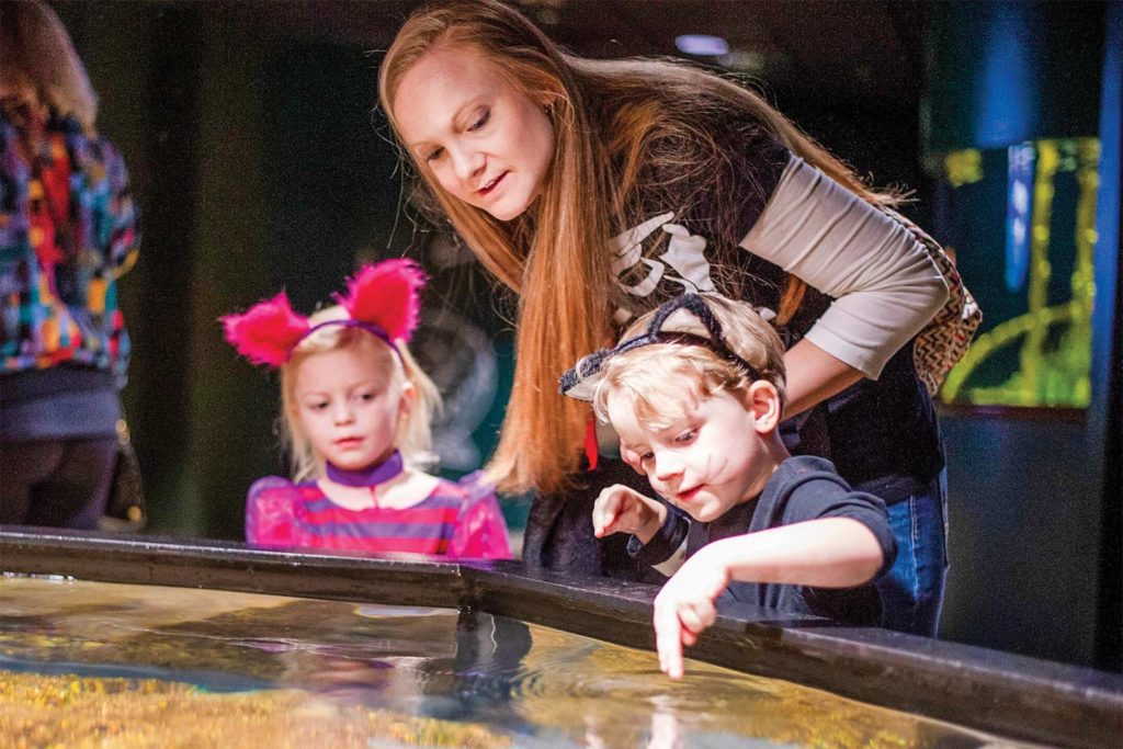 AquaScarium at the Tennessee Aquarium