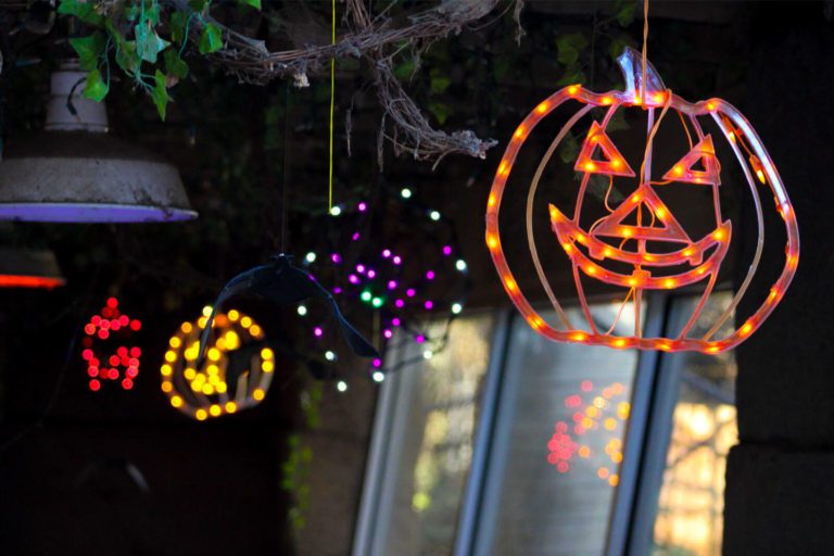Halloween lights at the Chattanooga Zoo's Boo in the Zoo