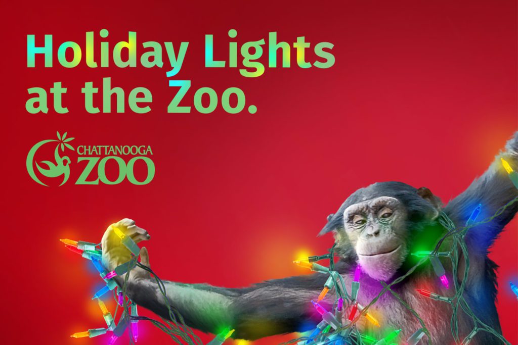 Holiday Lights At The Chattanooga Zoo