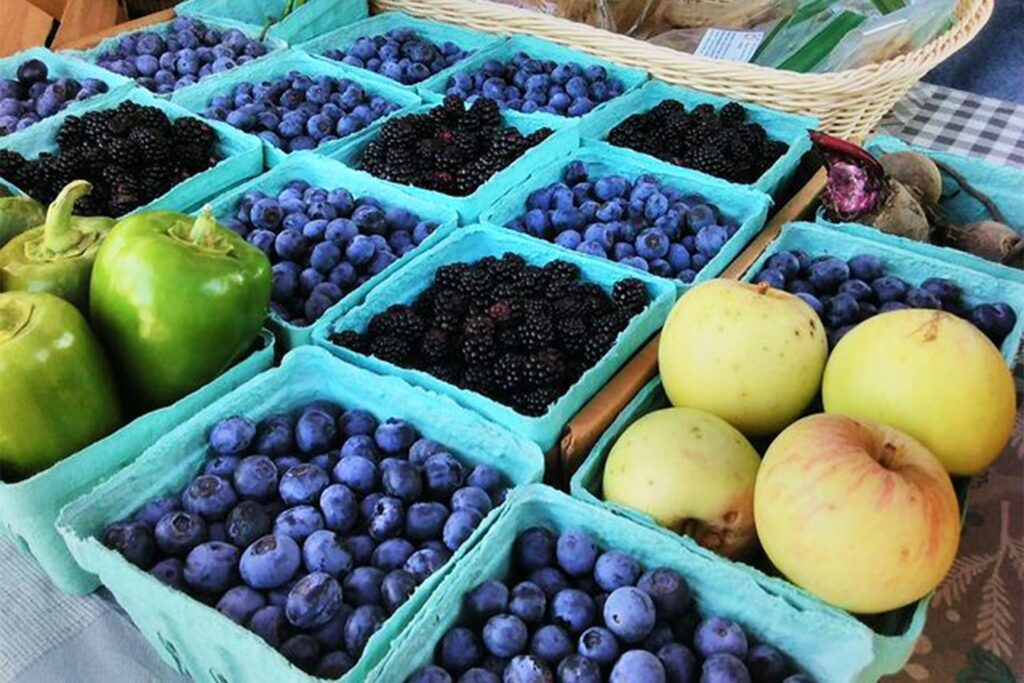 Ooltewah Farmers Market Blackberries and Blueberries