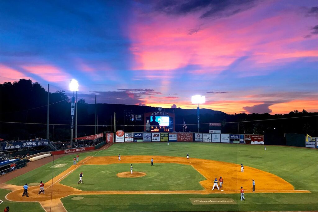 chattanooga lookouts dogs at the diamond