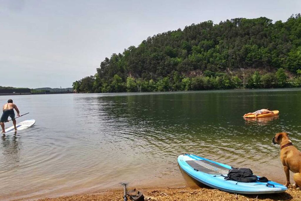 ocoee water sports paddle board with dog on the bank