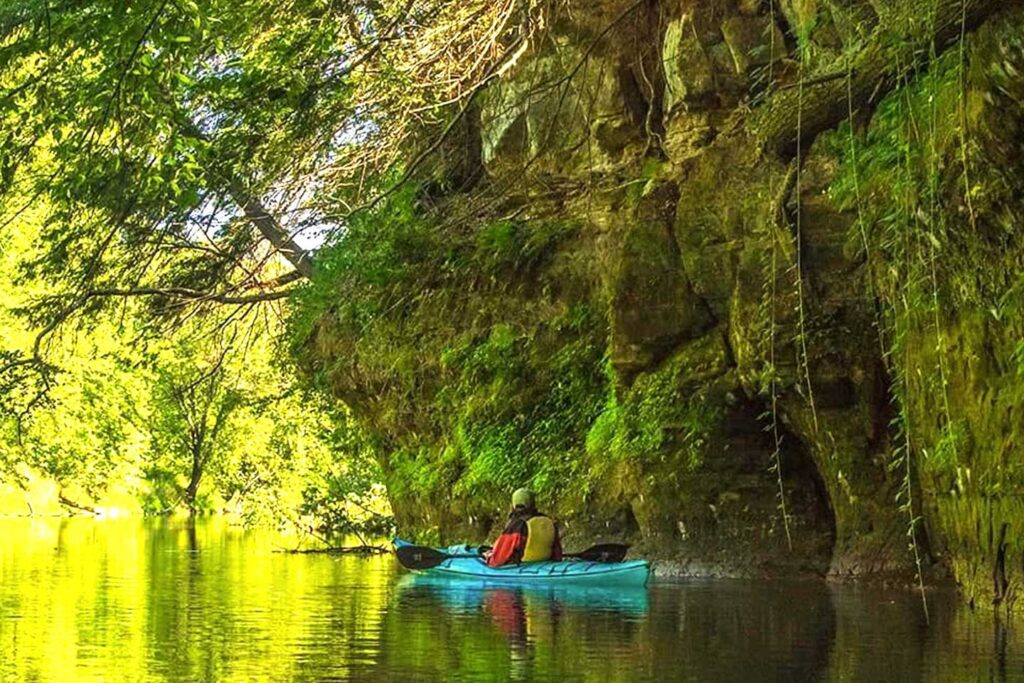 calm kayak by green mossy wall