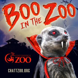 boo in the zoo chattanooga 2022
