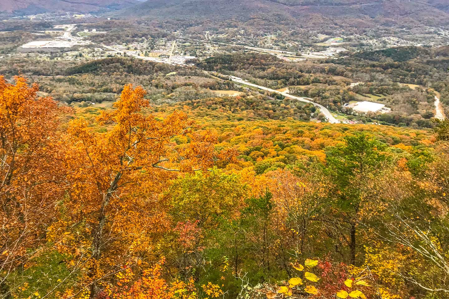 10 Ways To Experience Fall Foliage In Chattanooga Choose Chattanooga®