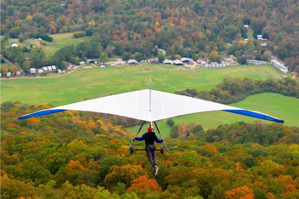 Hang glider over trees