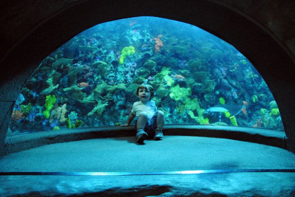 tn aquarium