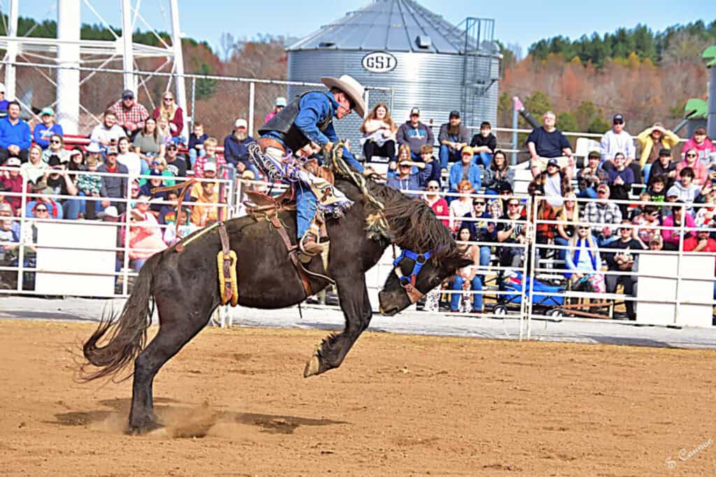 hamilton county fair november 2024 in chattanooga tennessee