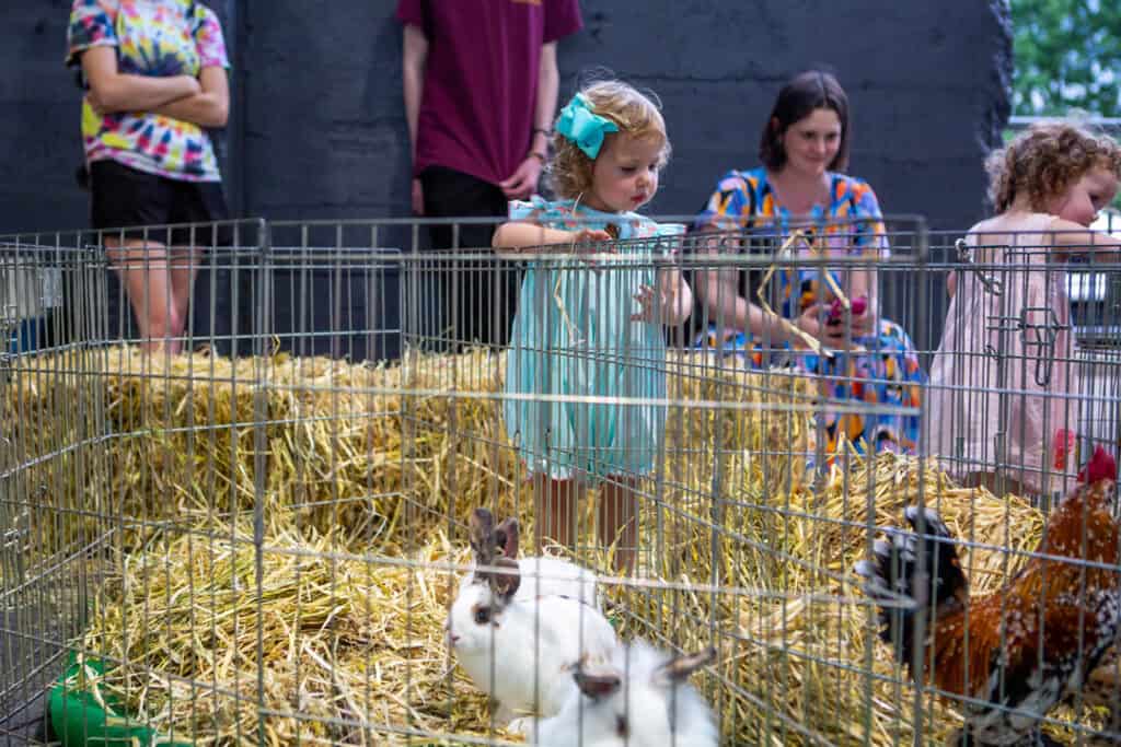 child watching a bunny