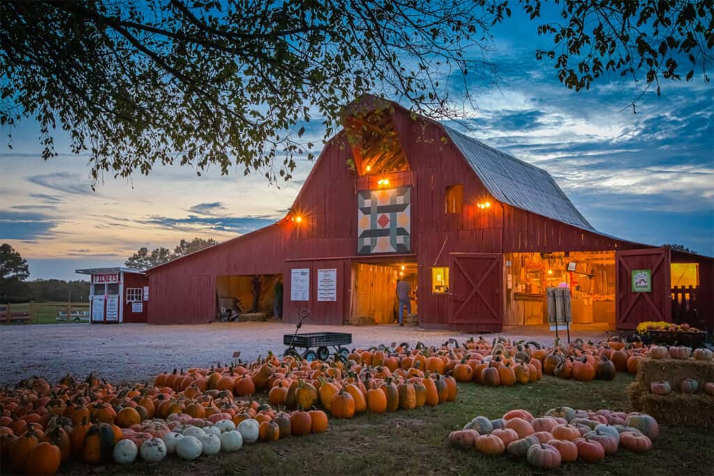 chattanooga barn pumpkin patch