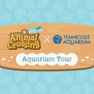 Wooden sign featuring "Animal Crossing x Tennessee Aquarium" with "Aquarium Tour" text on a light blue background.