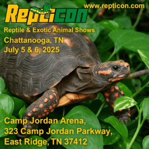 repticon ad for chattanooga event in july