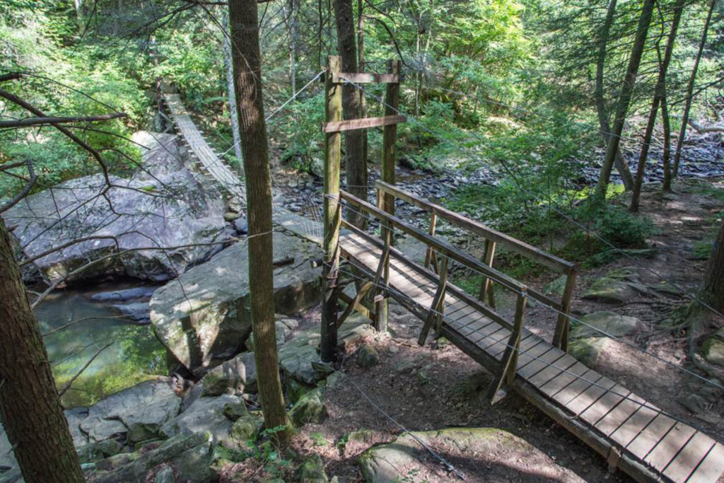Wooden bridge over a stream surrounded by lush trees and rocky terrain in a serene forest setting.