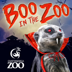 boo in zoo