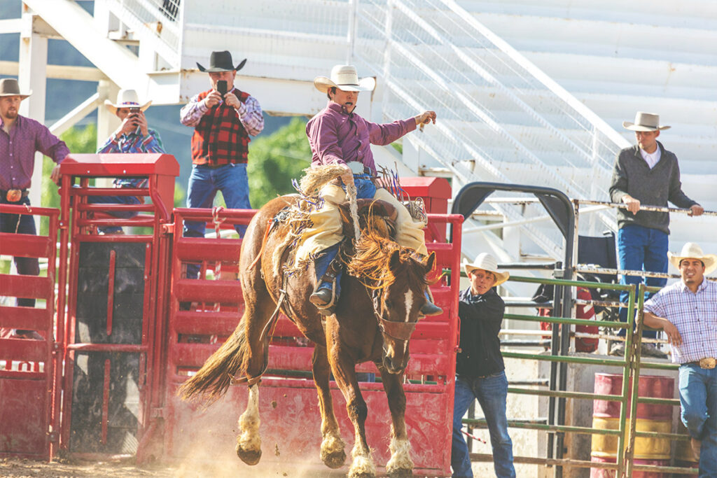 hamilton-county-fair