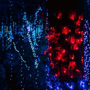 2026-Afterglow-lights-scaled