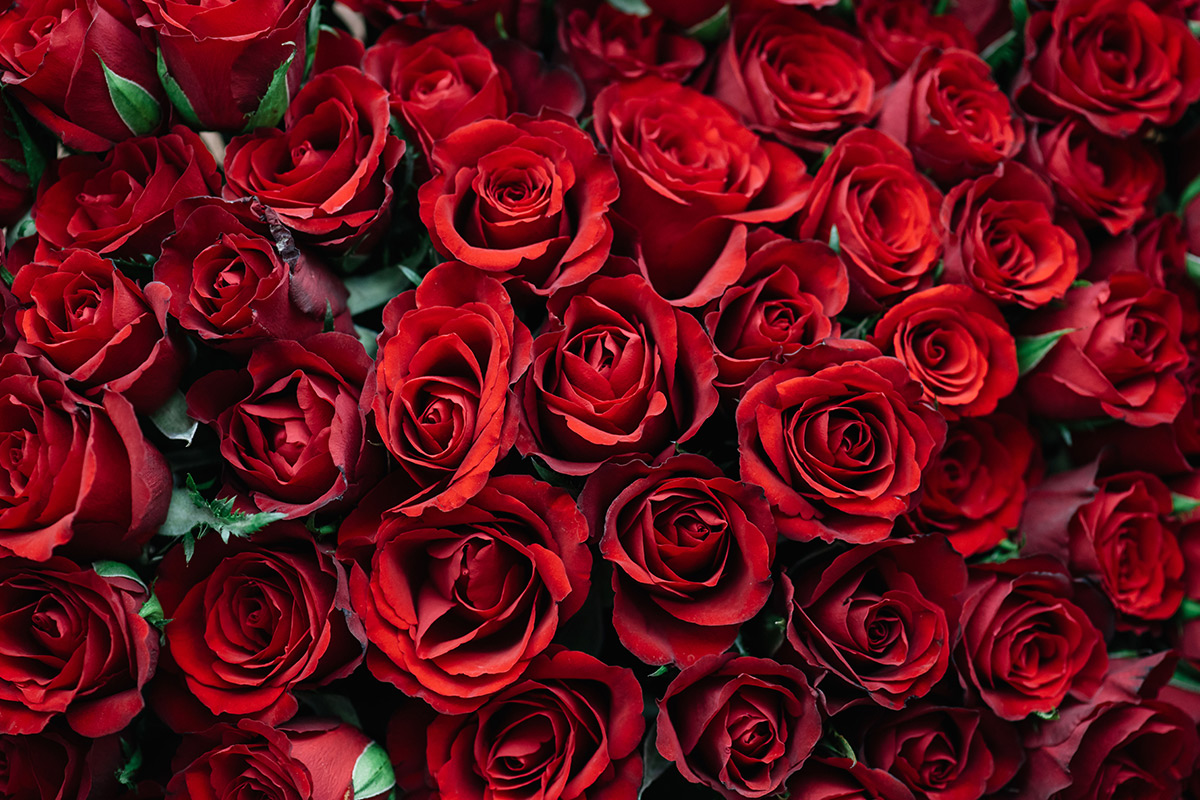 Chattanooga Flower Market