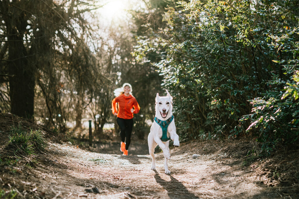 fast and furriest
