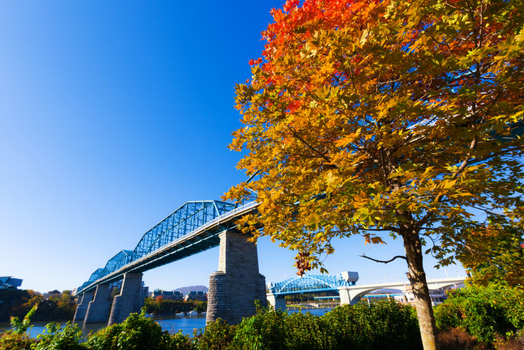 Chattanooga Newcomer