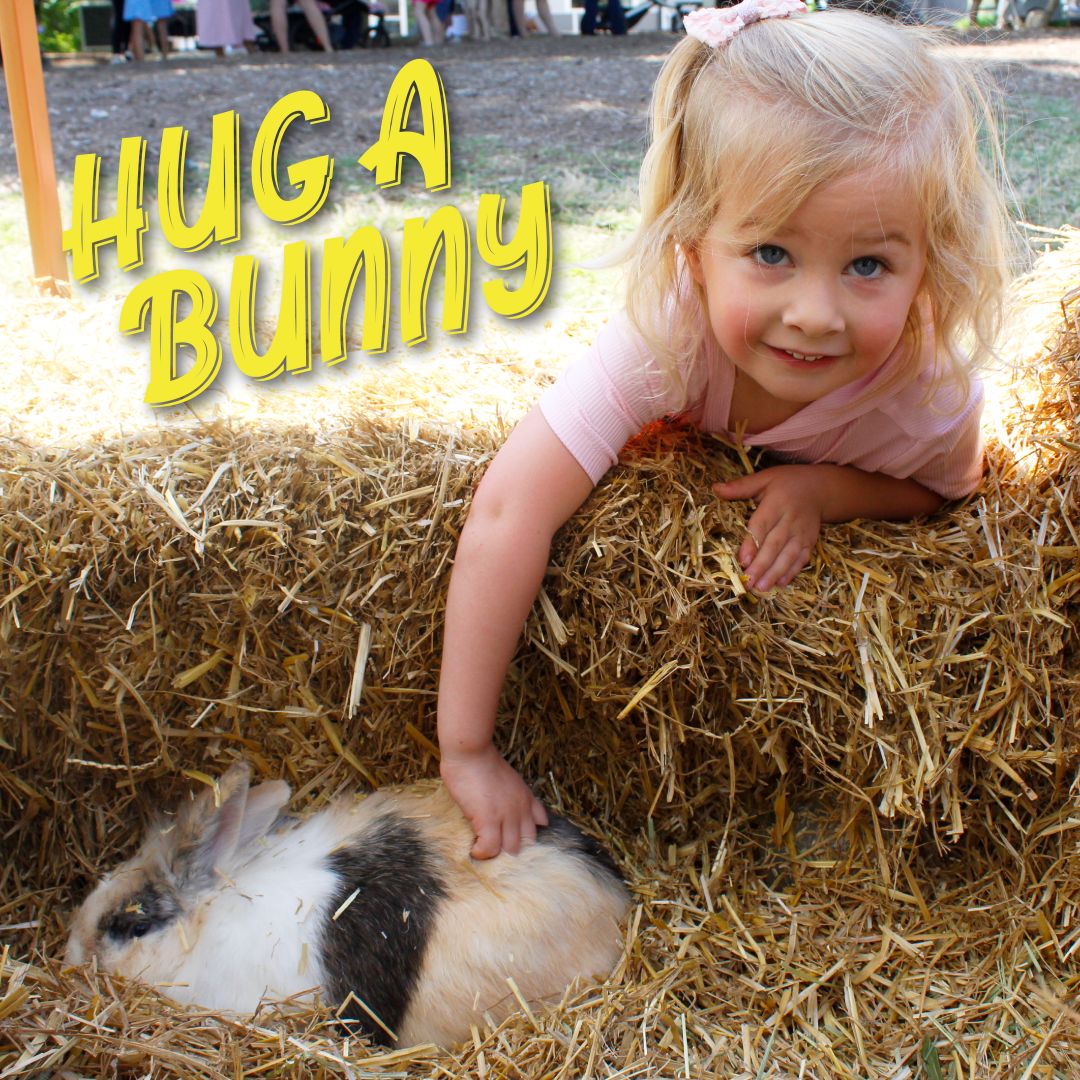 hug a bunny