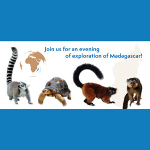 Madagascar conservation event