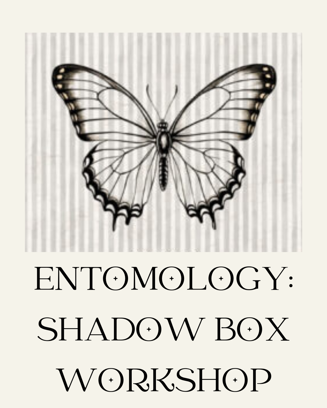 Entomology Shadow Box Graphic