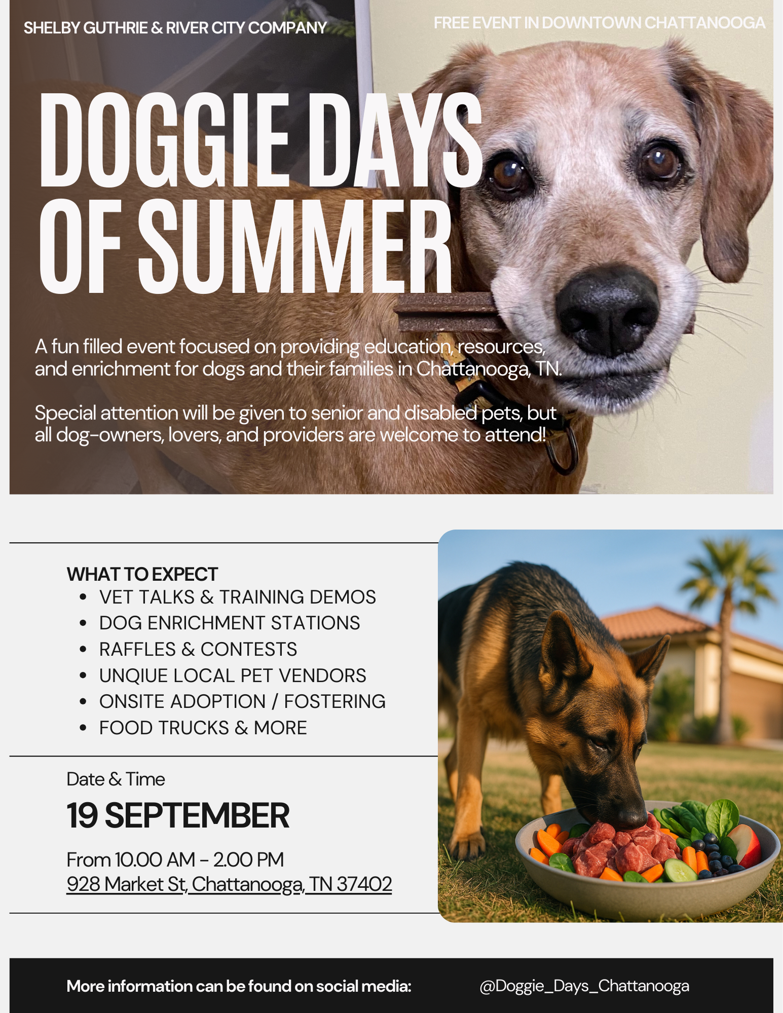Doggie Days of Summer Flyer