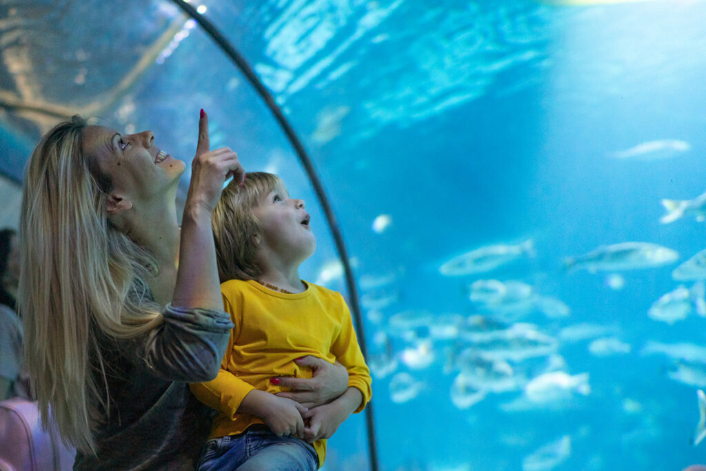 Mother and son looking up at aquarium tunnel