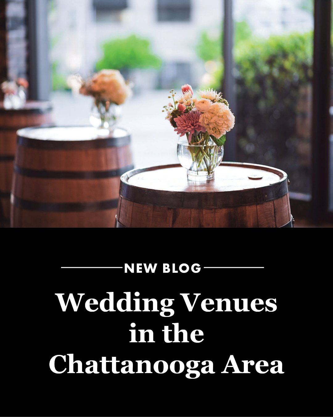 Love abounds in the Scenic City. 💗 Whether you’re looking to get married in the heart of the city or venture out for mountain views, the Chattanooga area has no shortage of incredible wedding venues that can accommodate any wedding’s style.

Head to our website at the link in our bio to read our full blog!