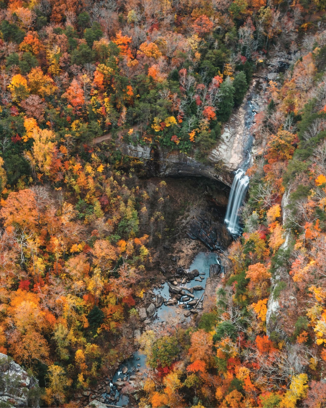 Looking for the perfect fall hike? 🍂 Just over an hour away from downtown Chattanooga, Fall Creek Falls State Park boasts a 256-foot waterfall and stunning fall foliage.
