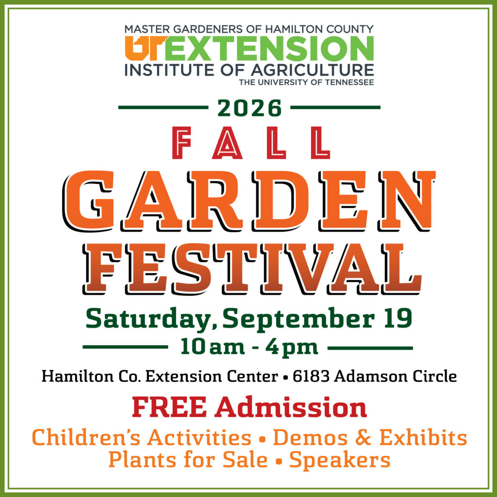 fall garden festival graphic