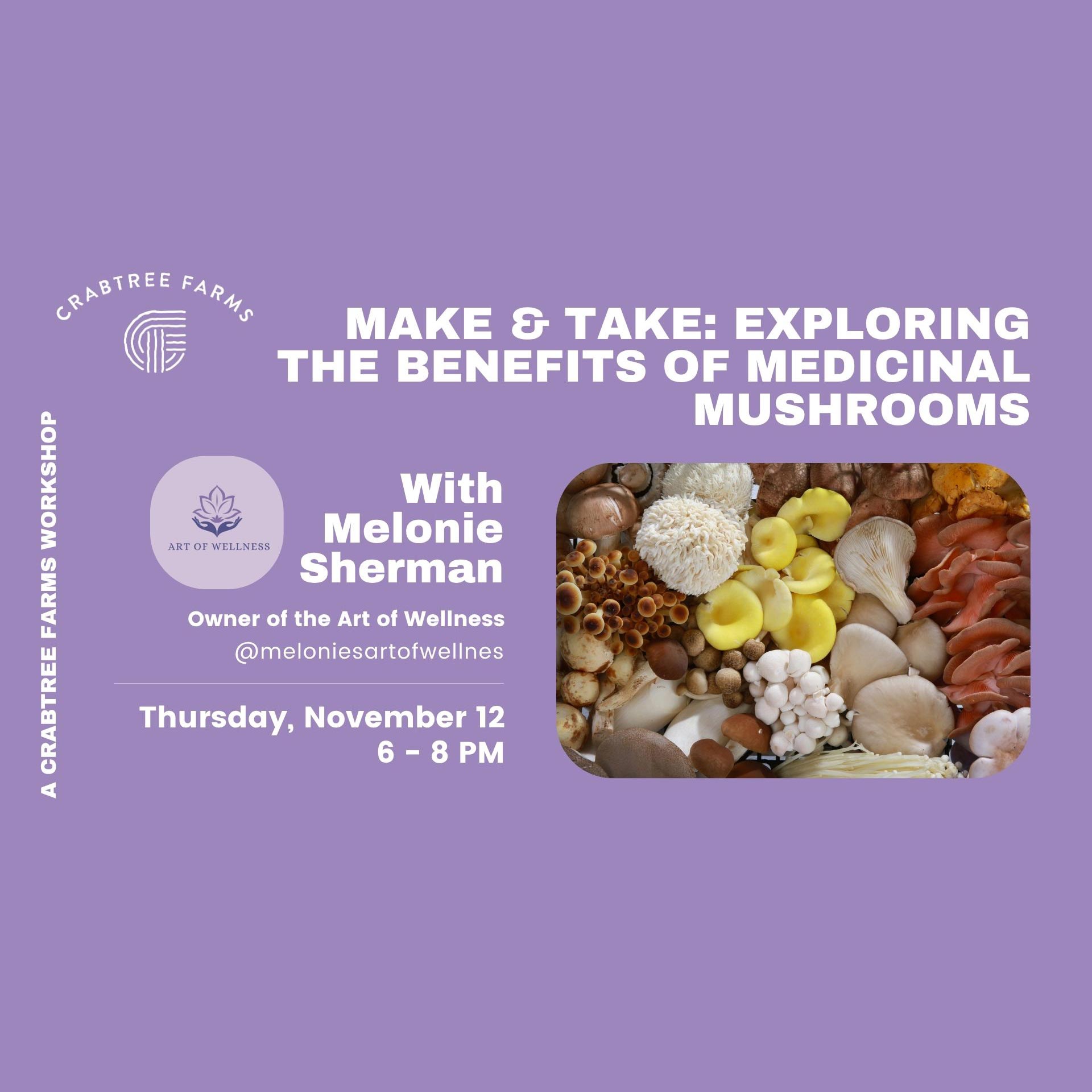 Medicinal Mushrooms graphic